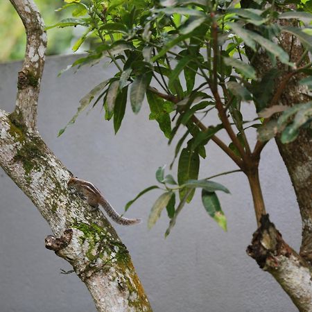 Thambara Villa ウナワトゥナ エクステリア 写真