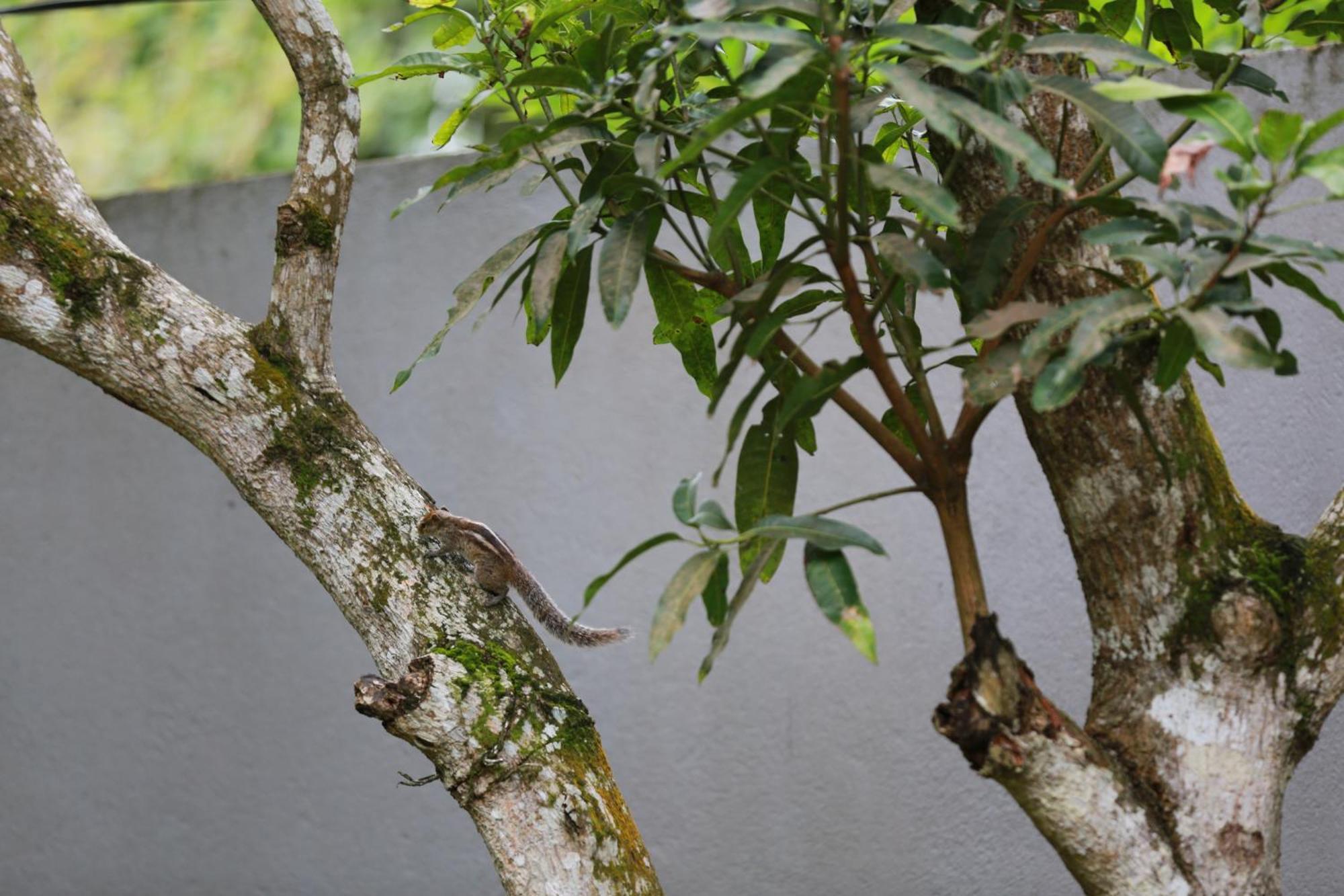 Thambara Villa ウナワトゥナ エクステリア 写真